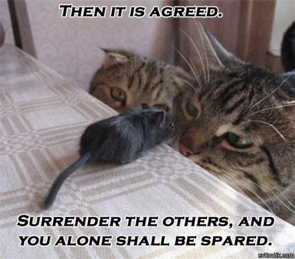 It Is Agreed