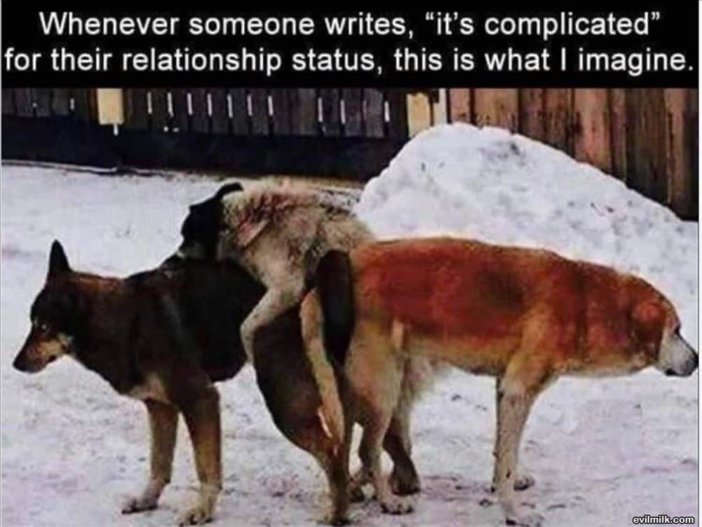 Its Complicated