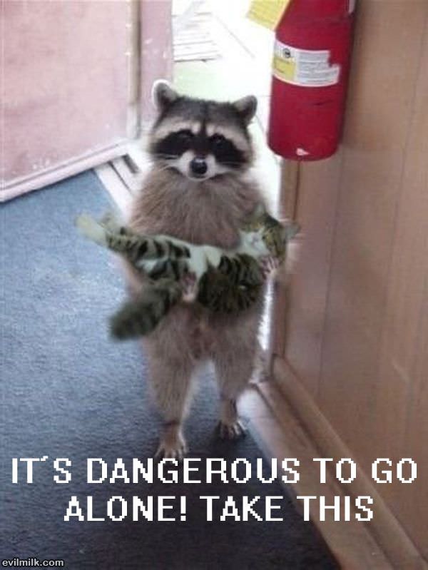 Its Dangerous To Go Alone