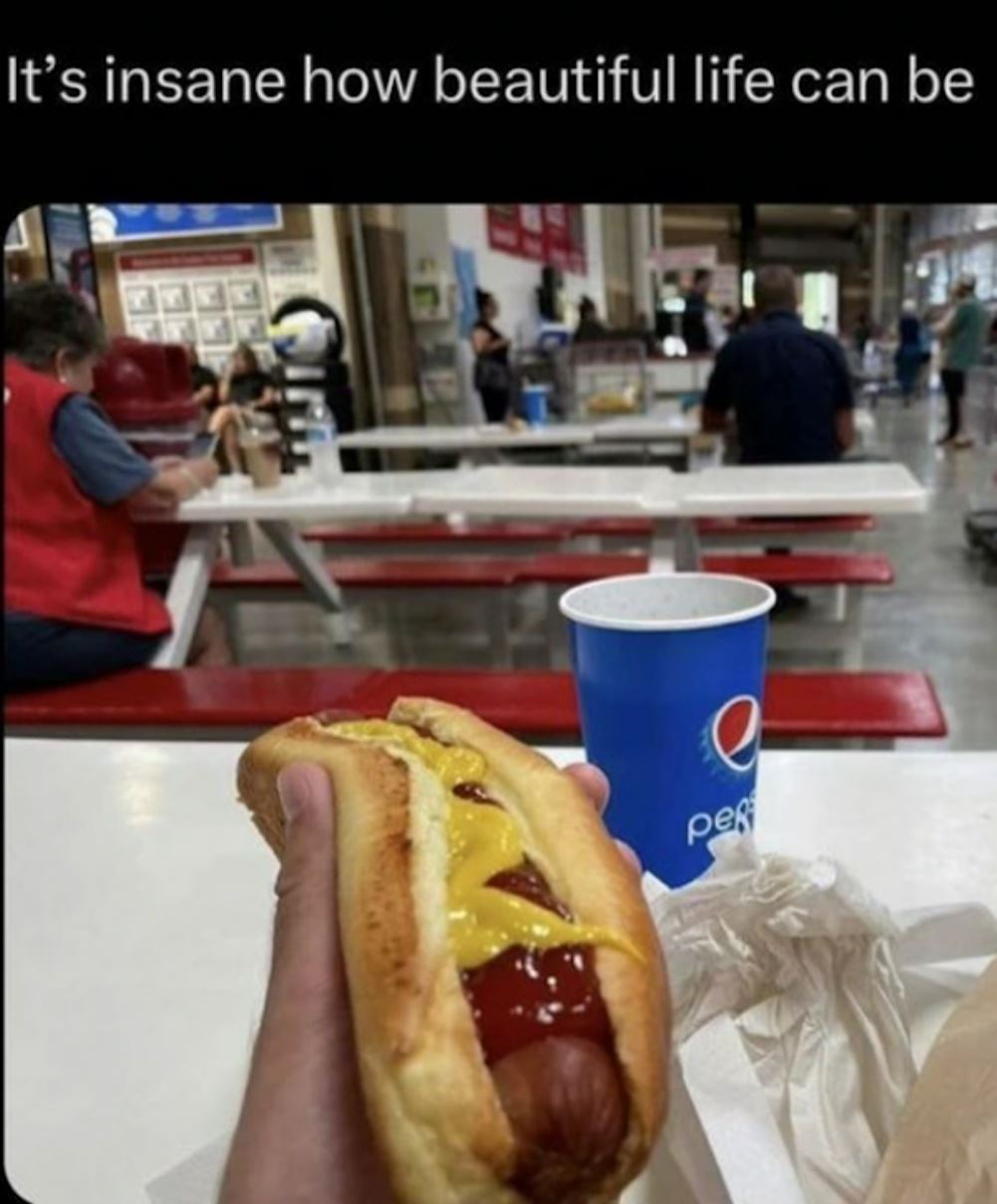 Its Insane