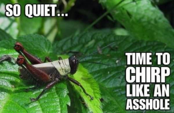 Its Quiet Time