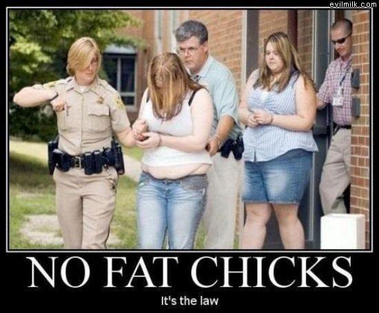 Its The Law