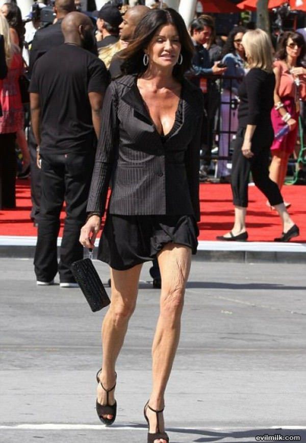 Janice Dickenson Super Model