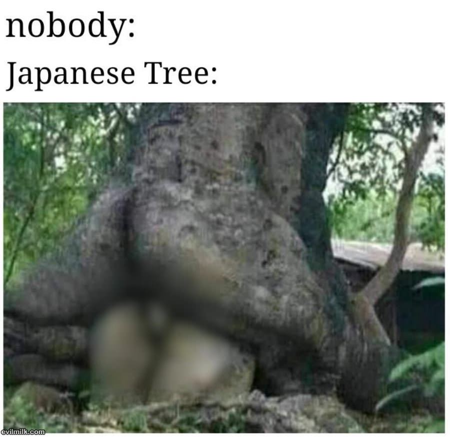 Japanese Trees