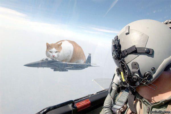 Jet Fighter