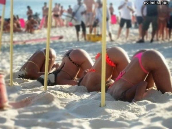 Just A Day At The Beach