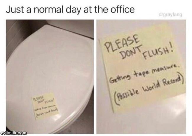 Just A Normal Day