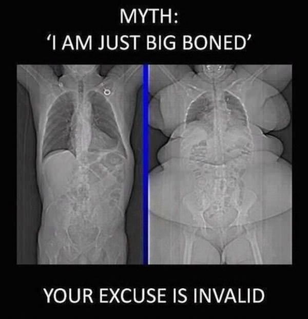 Just Big Boned