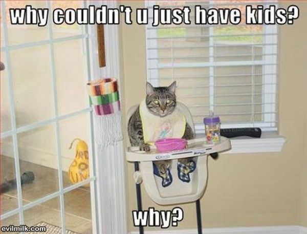 Just Have Kids