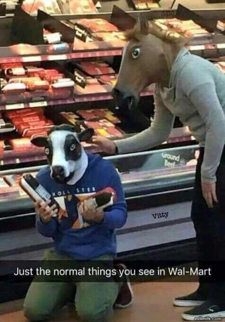 Just Normal Things