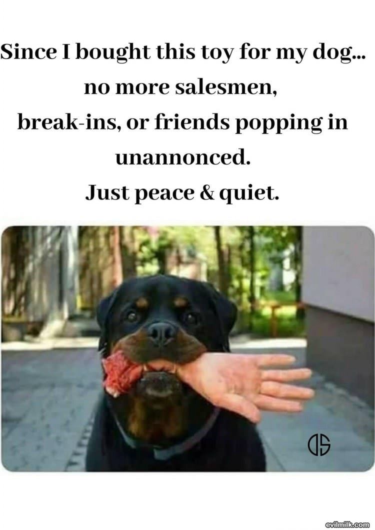 Just Peace