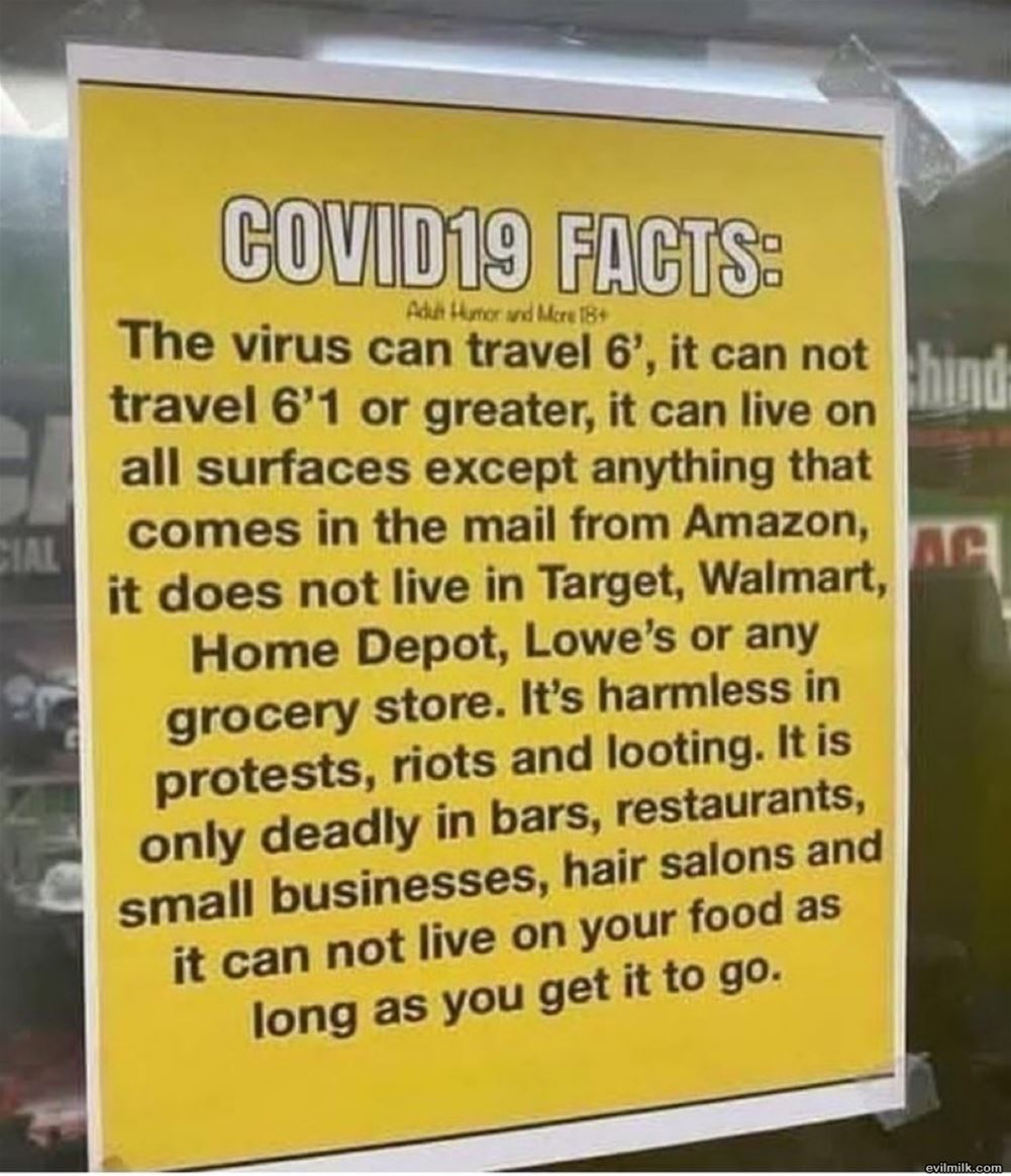 Just The Facts