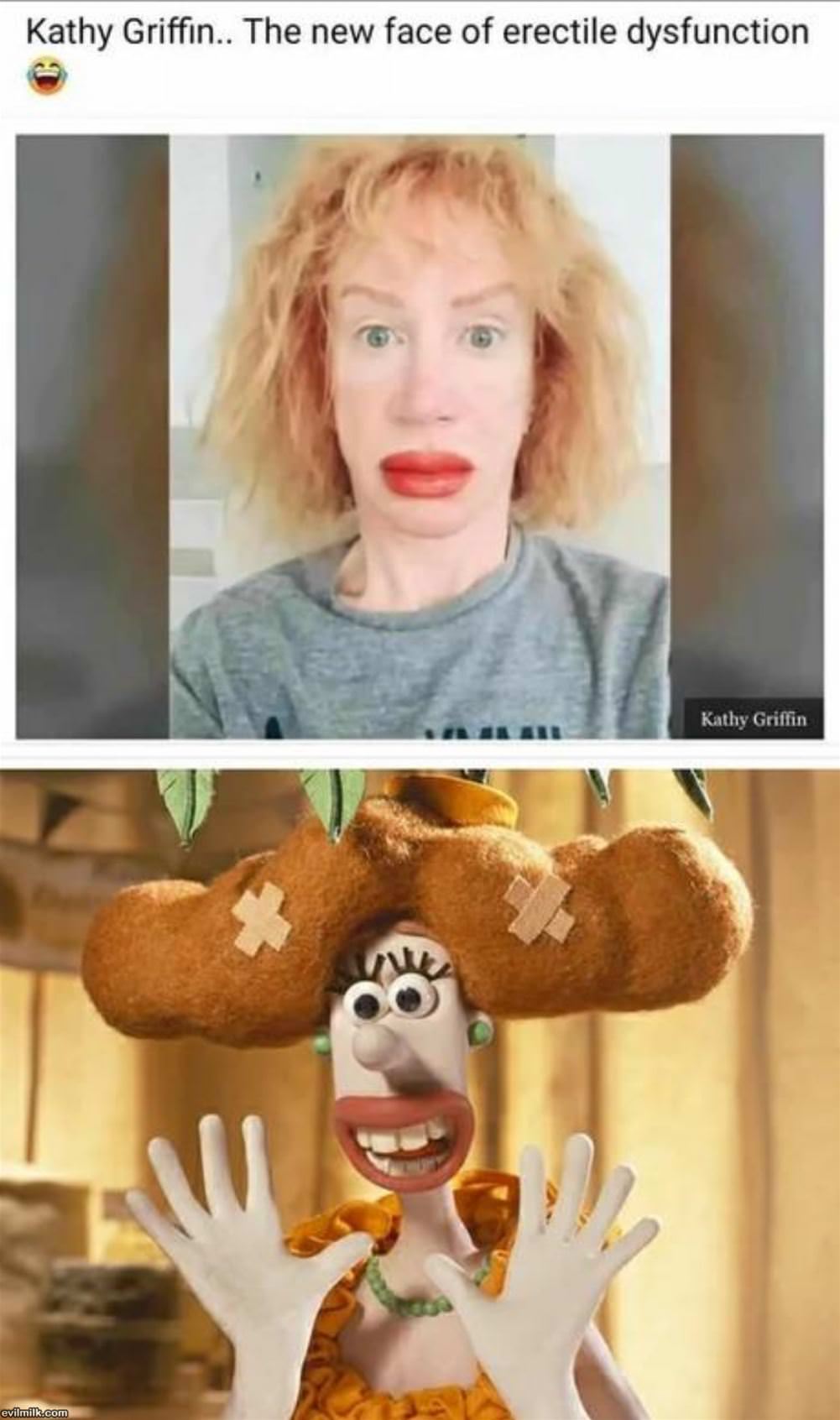Kathy Griffin