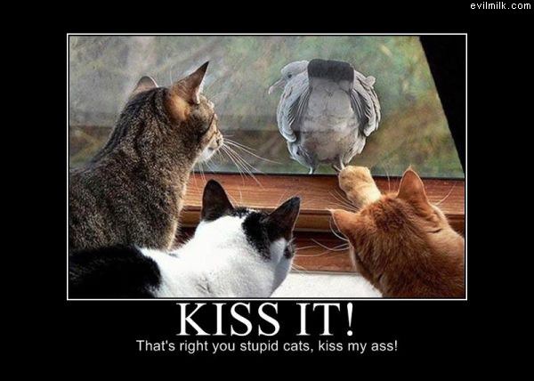 Kiss It