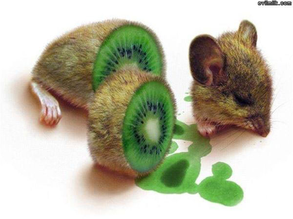 Kiwi