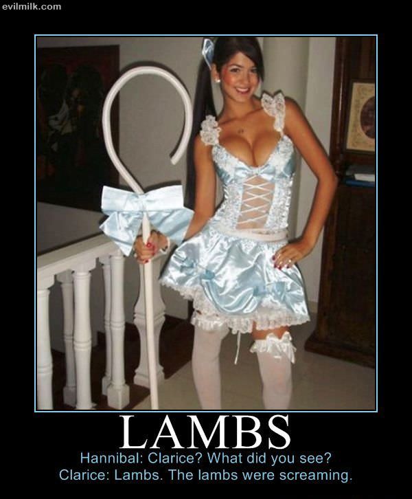 Lambs
