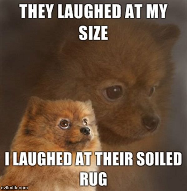 Laughed At My Size