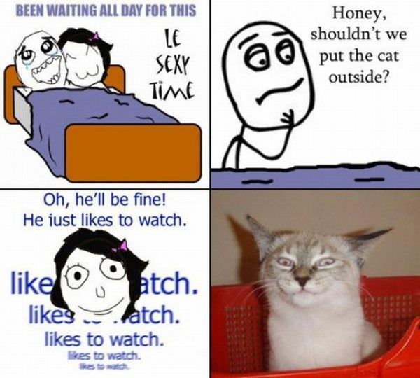 Le Sexy Time