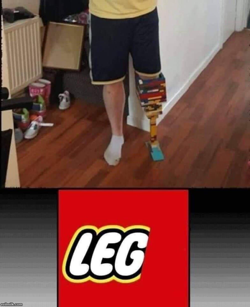 Leg