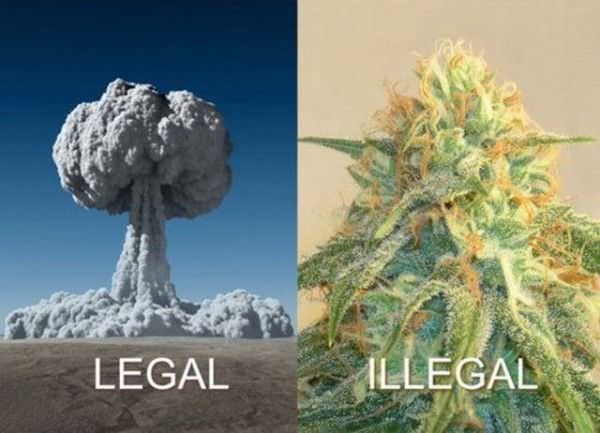 Legal And Illegal