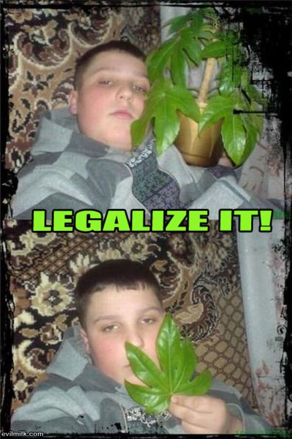 Legalize It