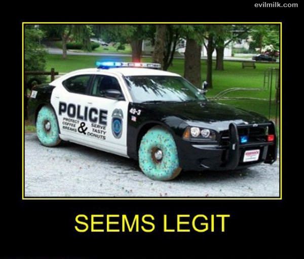 Legit Police Car