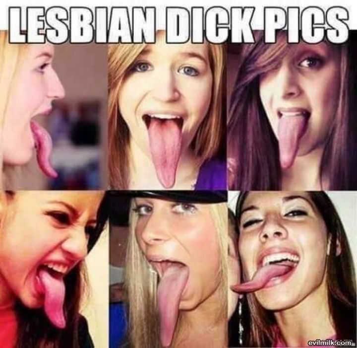 Lesbian Dick Picks