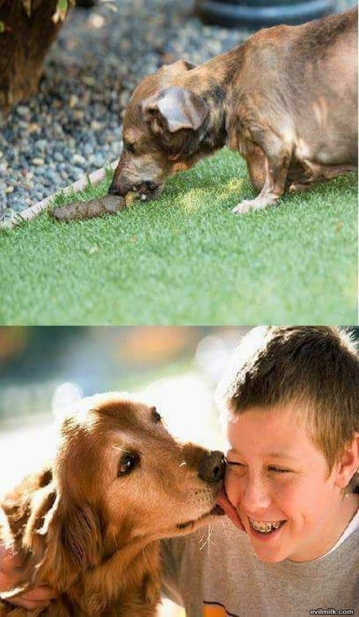 Let Me Give You A Kiss
