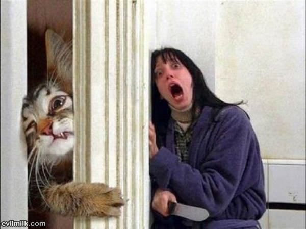 Let Me In Lady