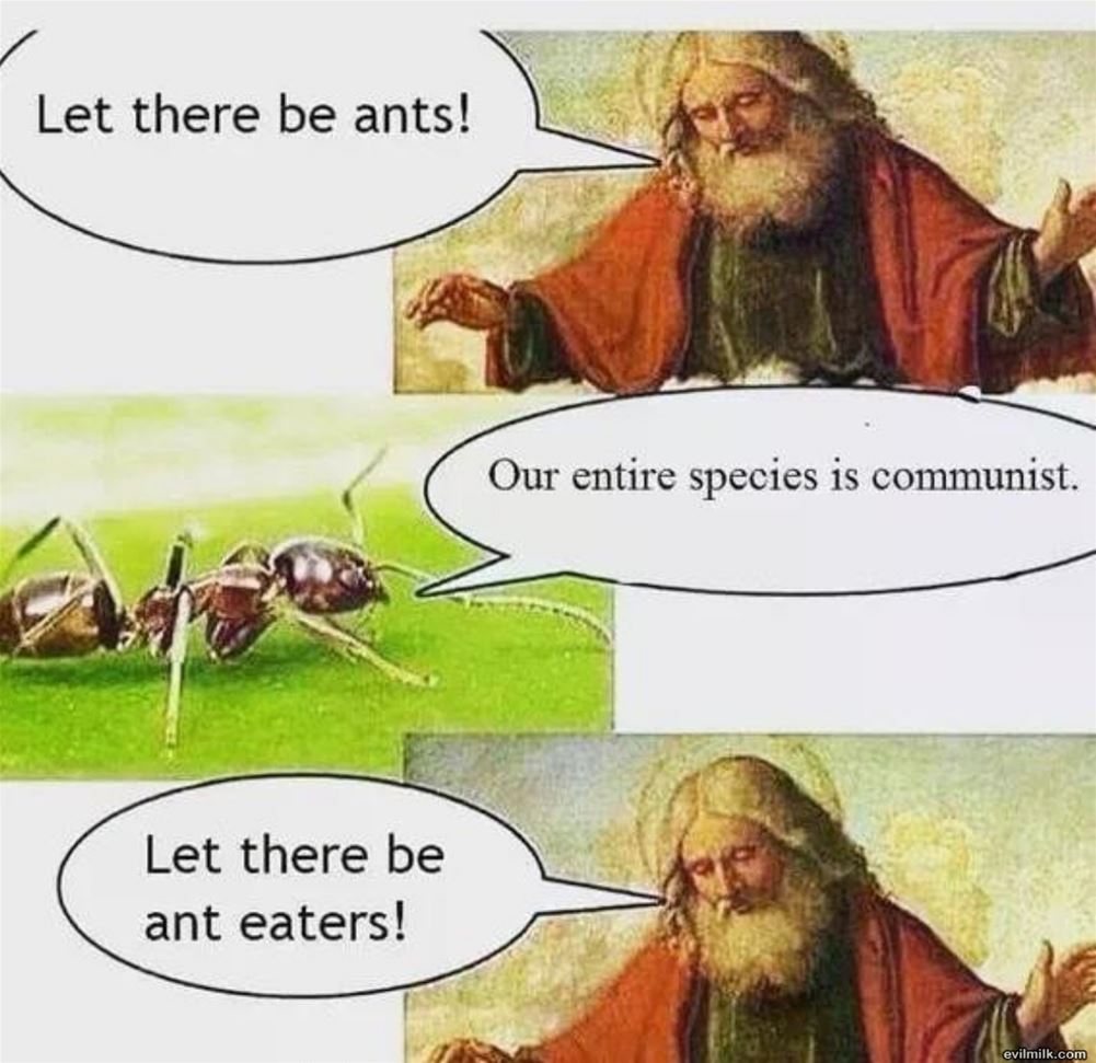 Let There Be Ants