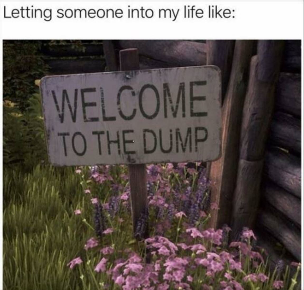 Letting Someone In