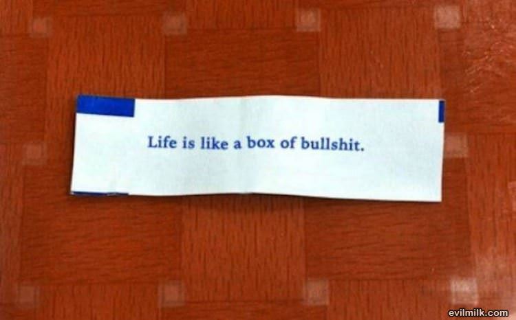 Life Is A Box