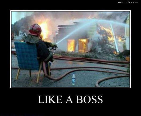 Like A Boss