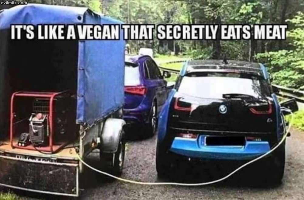 Like A Vegan