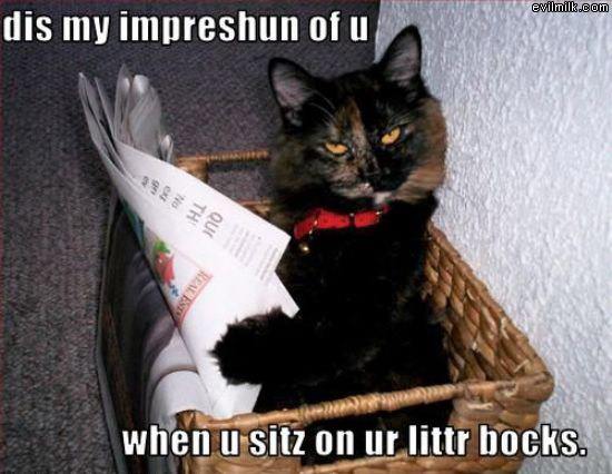 Littr Box