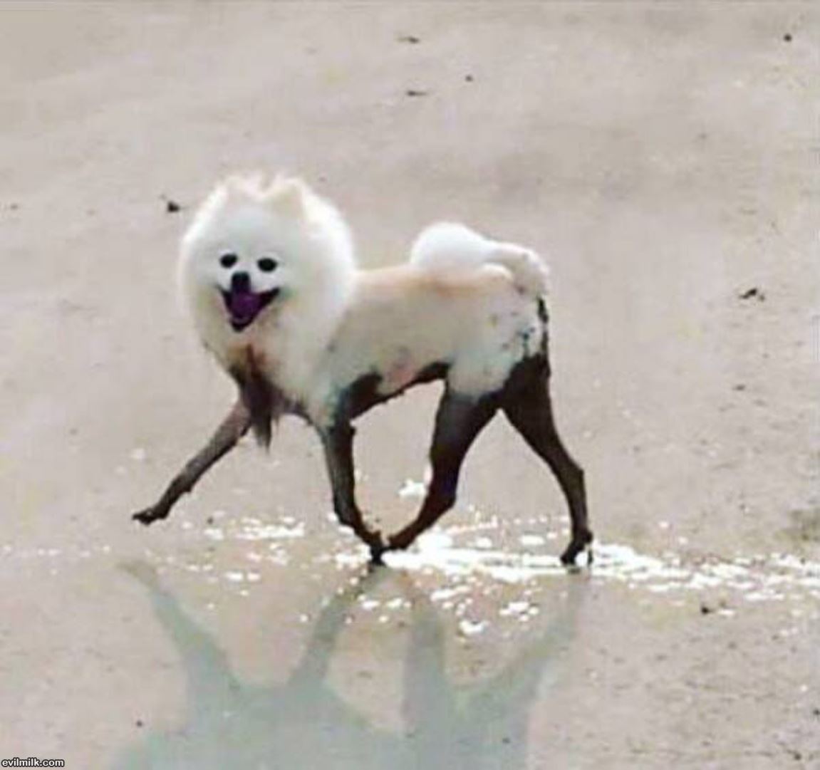 Living His Best Life