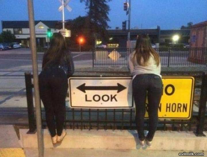 Look Both Ways