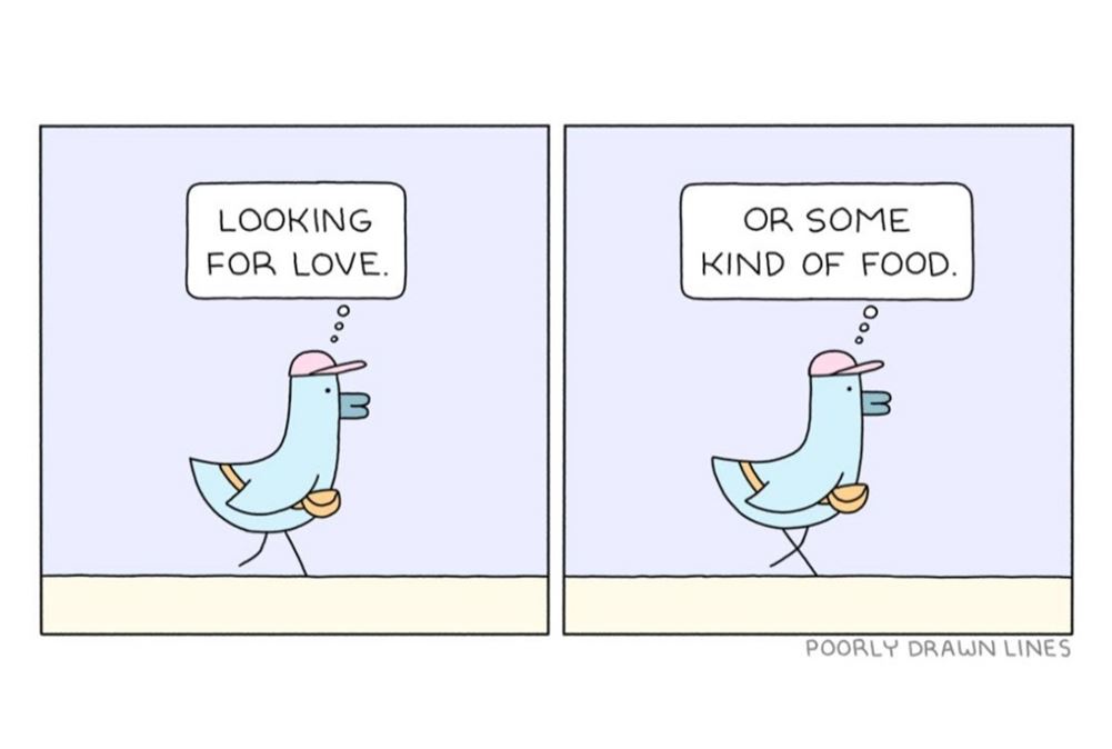 Looking For It