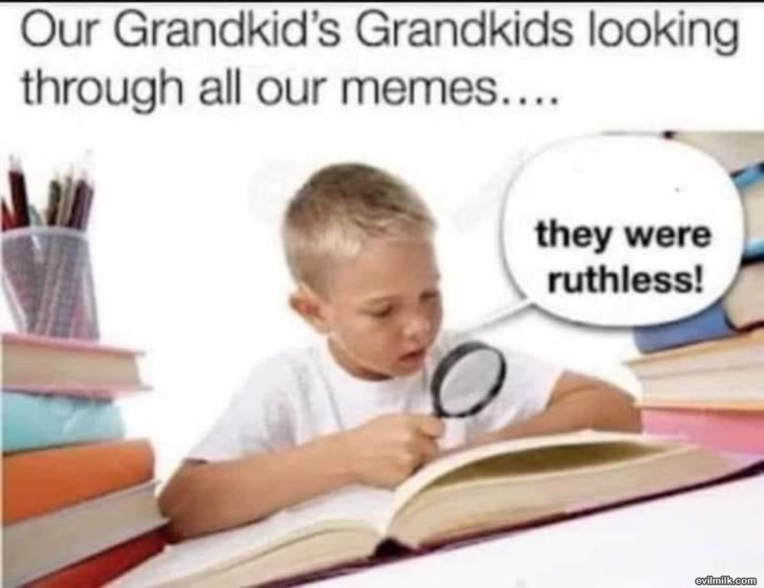 Looking Through Memes