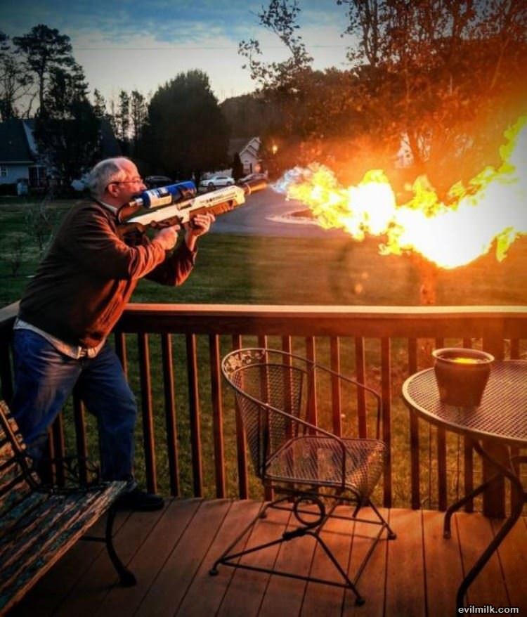 Looks Fun