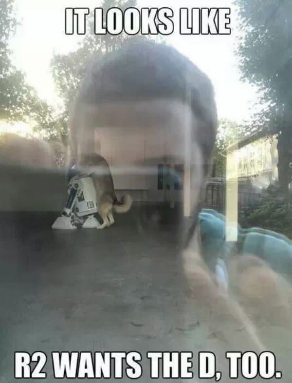 Looks Like