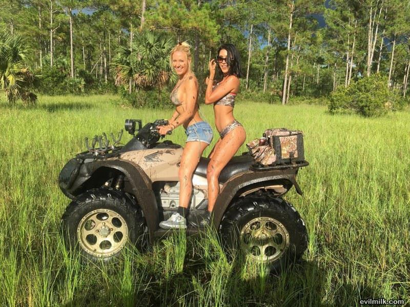 Looks Like A Fun Day