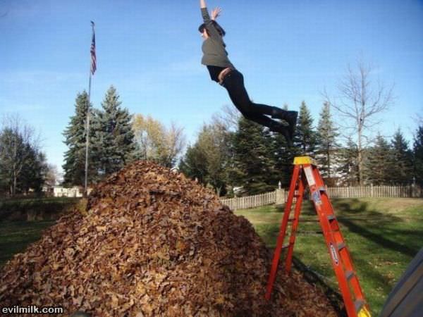 Looks So Fun