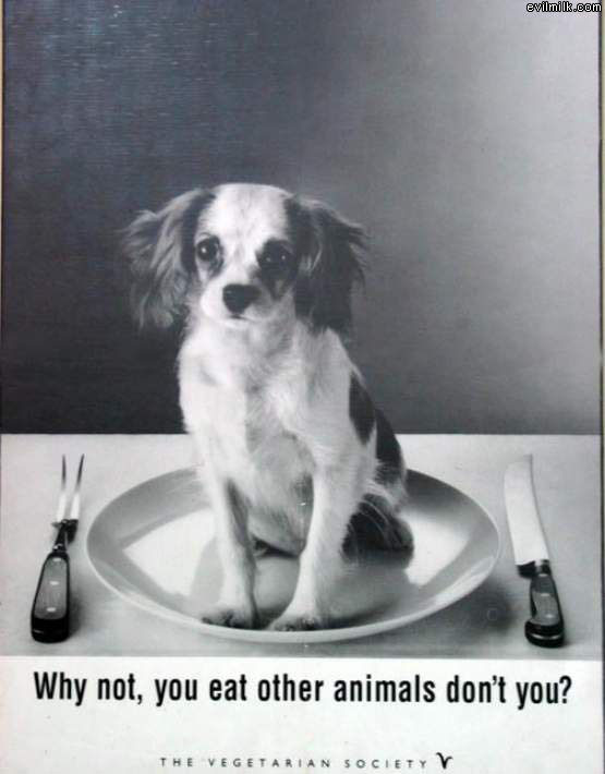 Looks Tasty