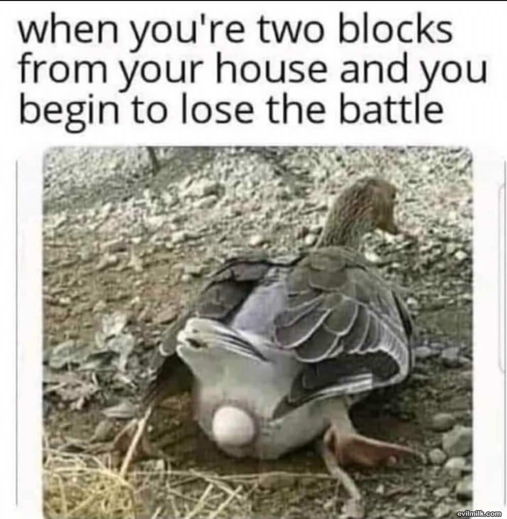 Losing The Battle