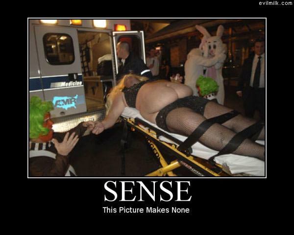 Lots Of Sense
