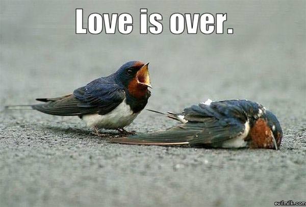 Love
