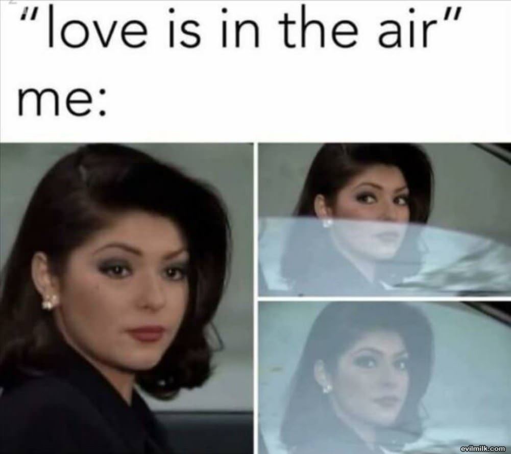 Love Is In The Air