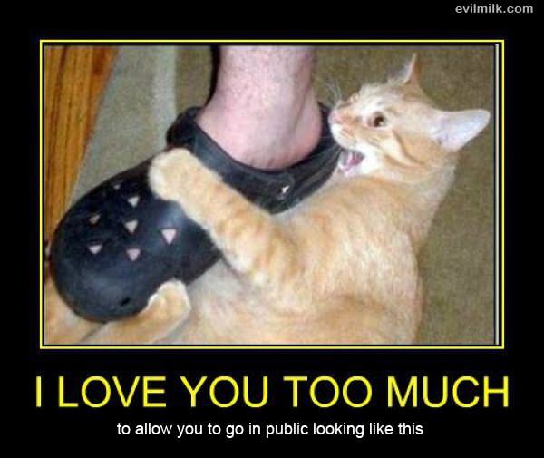 Love You Too Much