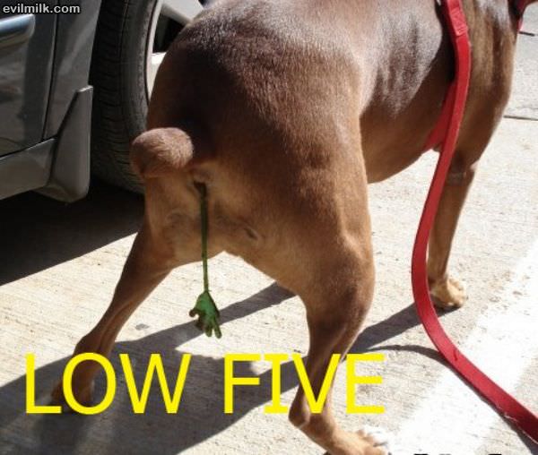 Low Five